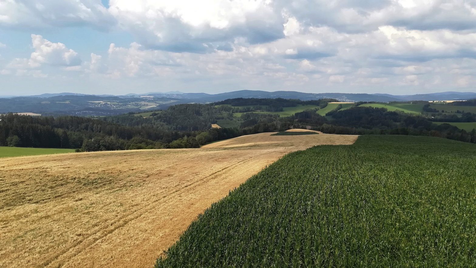 europejski zielony ład